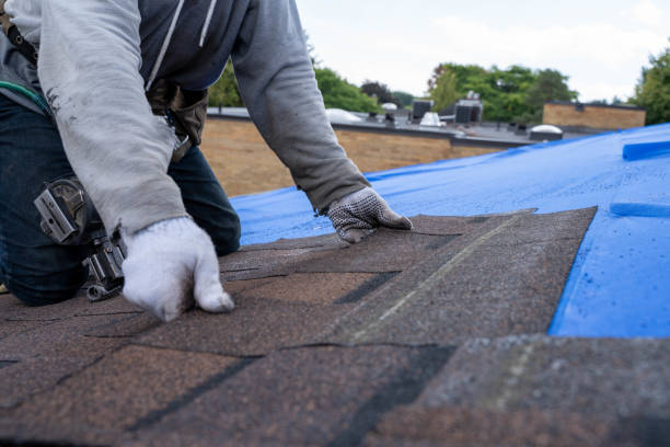 Best Roof Gutter Cleaning  in Livonia, LA